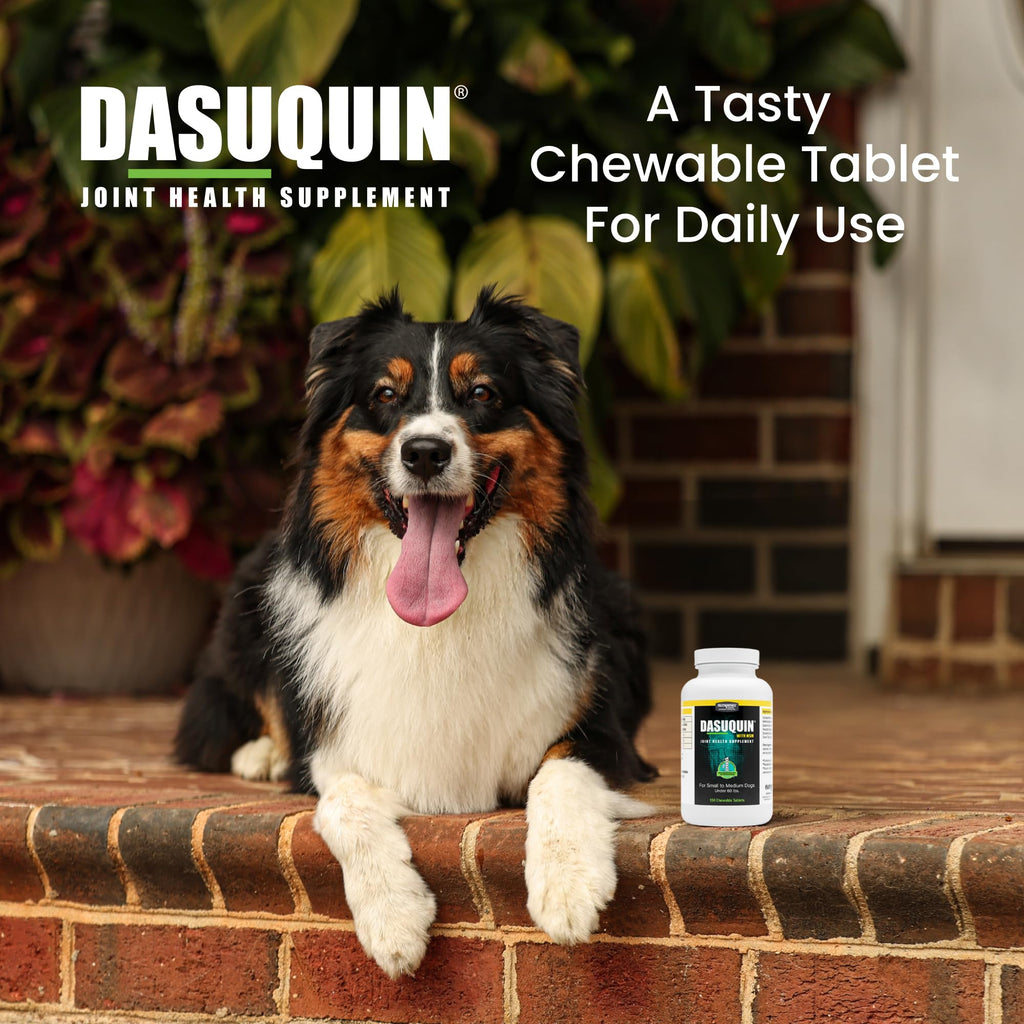 Nutramax Dasuquin for Small to Medium Dogs, Joint Health Supplement, Contains Glucosamine for Dogs, Plus Chondroitin, ASU, MSM and More, Supports Healthy Joints, Chewable Tablets, 150 Count - TrustMedUSA