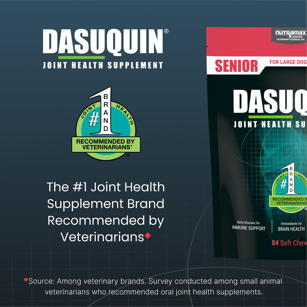 Nutramax Dasuquin Joint Health Supplement for Large Senior Dogs – for Immune Support, Skin & Coat Health, and Brain Health, 84 Soft Chews - TrustMedUSA