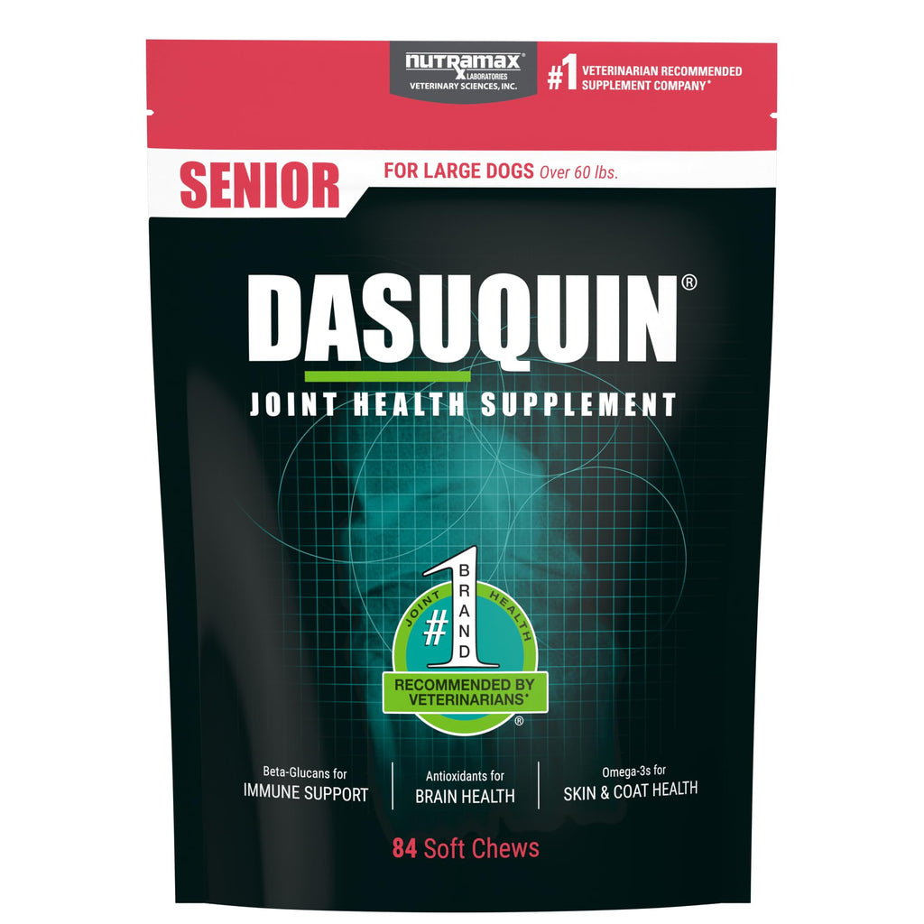 Nutramax Dasuquin Joint Health Supplement for Large Senior Dogs – for Immune Support, Skin & Coat Health, and Brain Health, 84 Soft Chews - TrustMedUSA