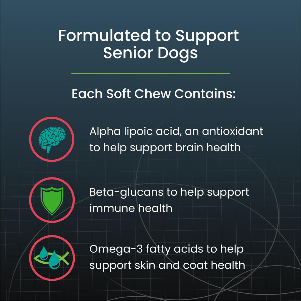 Nutramax Dasuquin Joint Health Supplement for Large Senior Dogs – for Immune Support, Skin & Coat Health, and Brain Health, 84 Soft Chews - TrustMedUSA