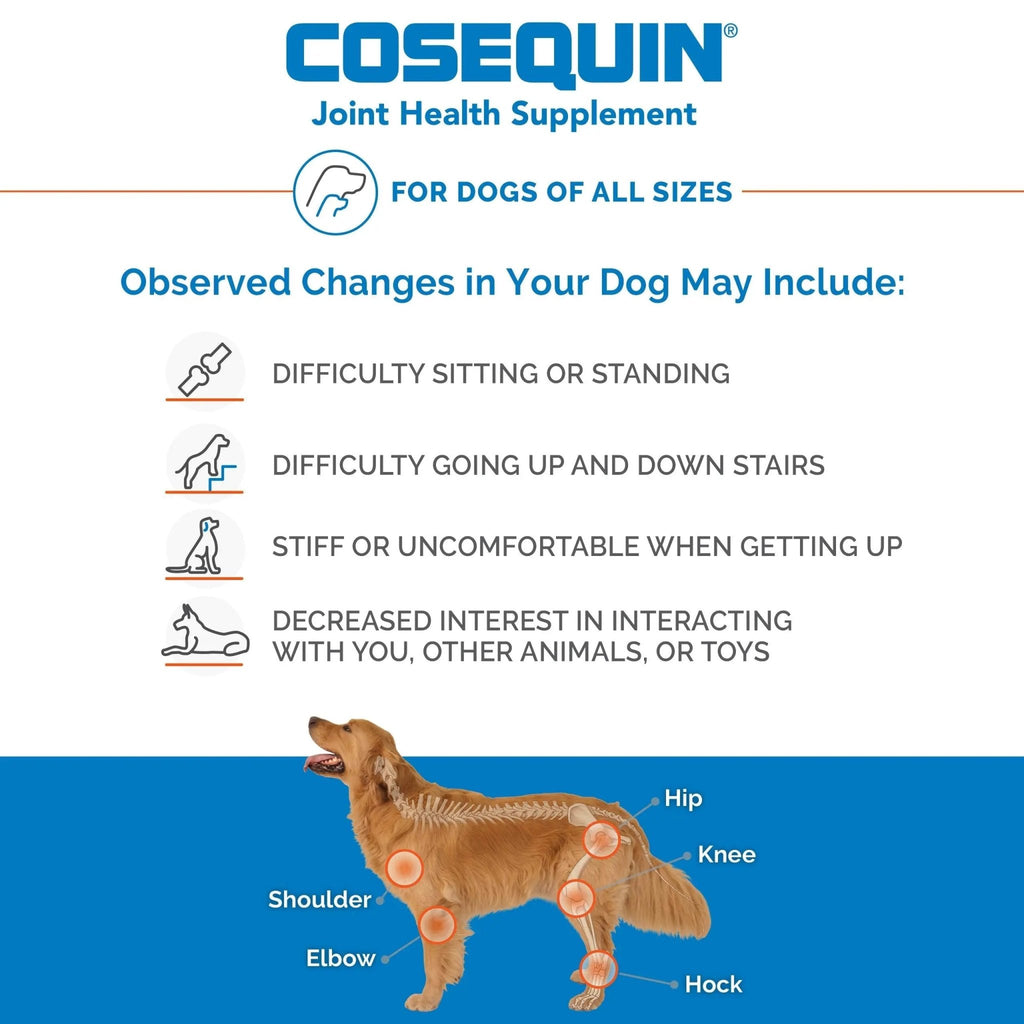 Nutramax Laboratories Cosequin Maximum Strength Joint Health Supplement for Dogs - TrustMedUSA
