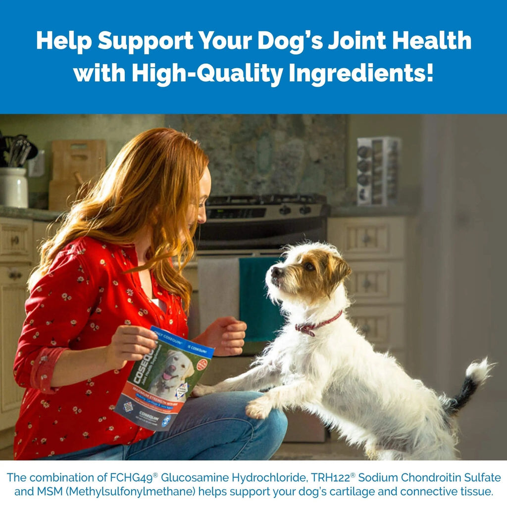 Nutramax Laboratories Cosequin Maximum Strength Joint Health Supplement for Dogs - TrustMedUSA