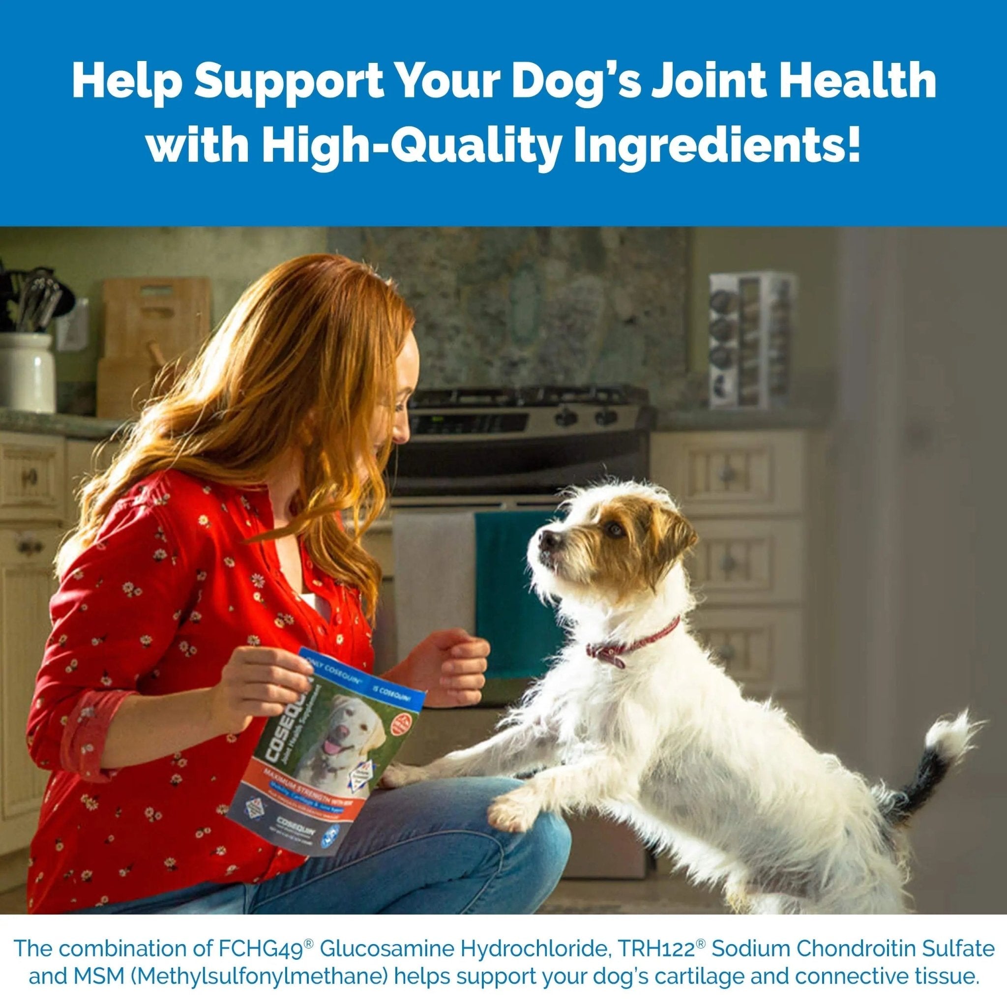 Nutramax Laboratories Cosequin Maximum Strength Joint Health Supplement for Dogs - TrustMedUSA