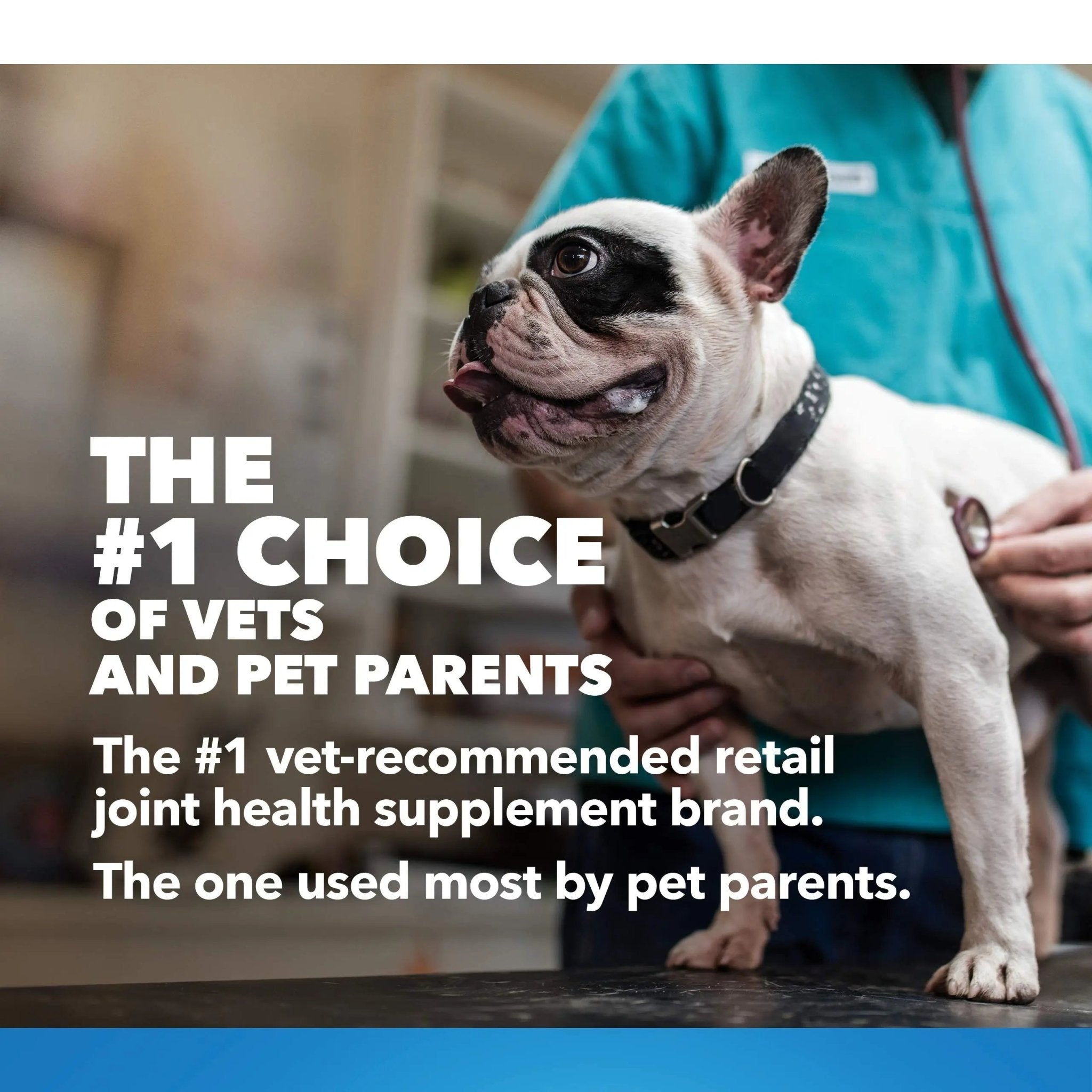 Nutramax Laboratories Cosequin Maximum Strength Joint Health Supplement for Dogs - TrustMedUSA