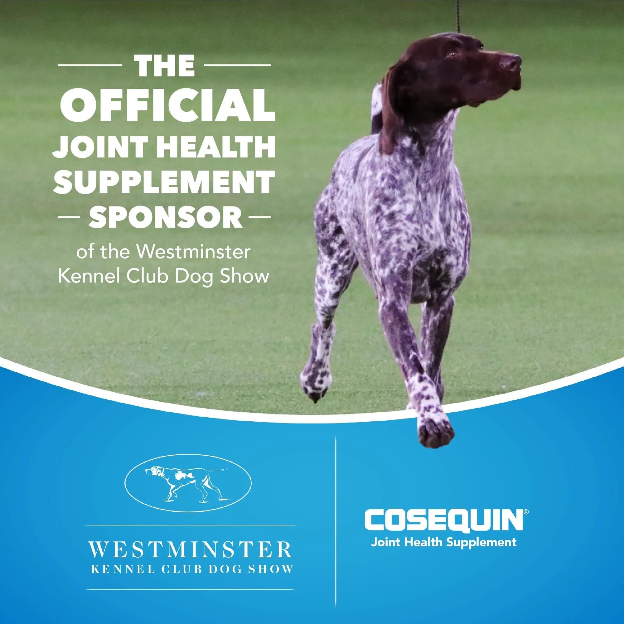 Nutramax Laboratories Cosequin Maximum Strength Joint Health Supplement for Dogs - TrustMedUSA