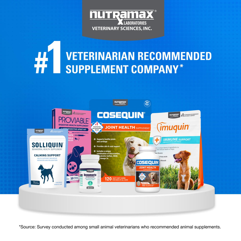 Nutramax Laboratories Cosequin Maximum Strength Joint Health Supplement for Dogs - With Glucosamine, Chondroitin, and MSM, 2 Pack, 264 Total Chewable Tablets - TrustMedUSA
