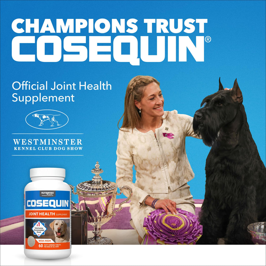 Nutramax Laboratories Cosequin Maximum Strength Joint Health Supplement for Dogs - With Glucosamine, Chondroitin, and MSM, 2 Pack, 264 Total Chewable Tablets - TrustMedUSA