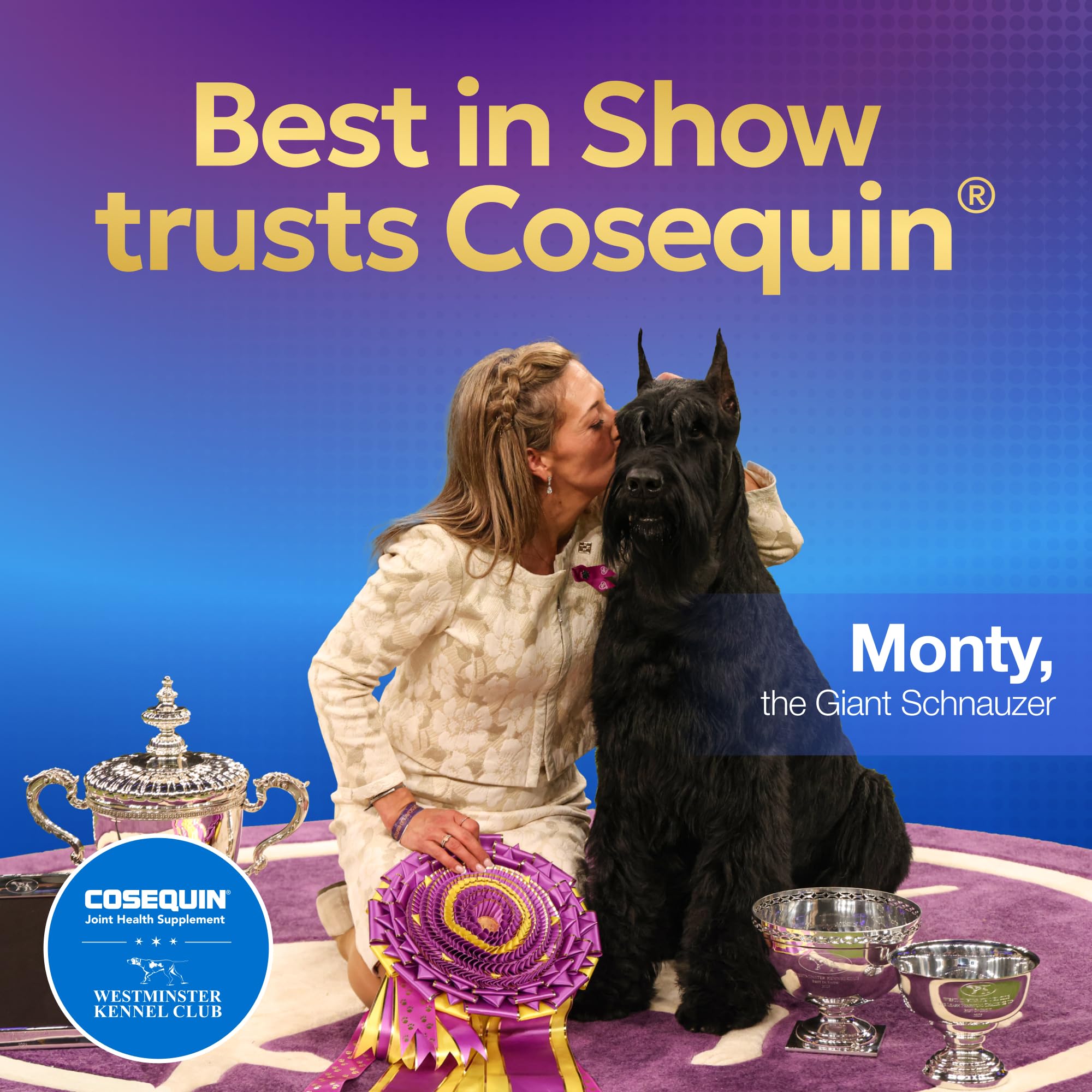 Nutramax Laboratories Cosequin Maximum Strength Joint Health Supplement for Dogs - With Glucosamine, Chondroitin, and MSM, 2 Pack, 264 Total Chewable Tablets - TrustMedUSA