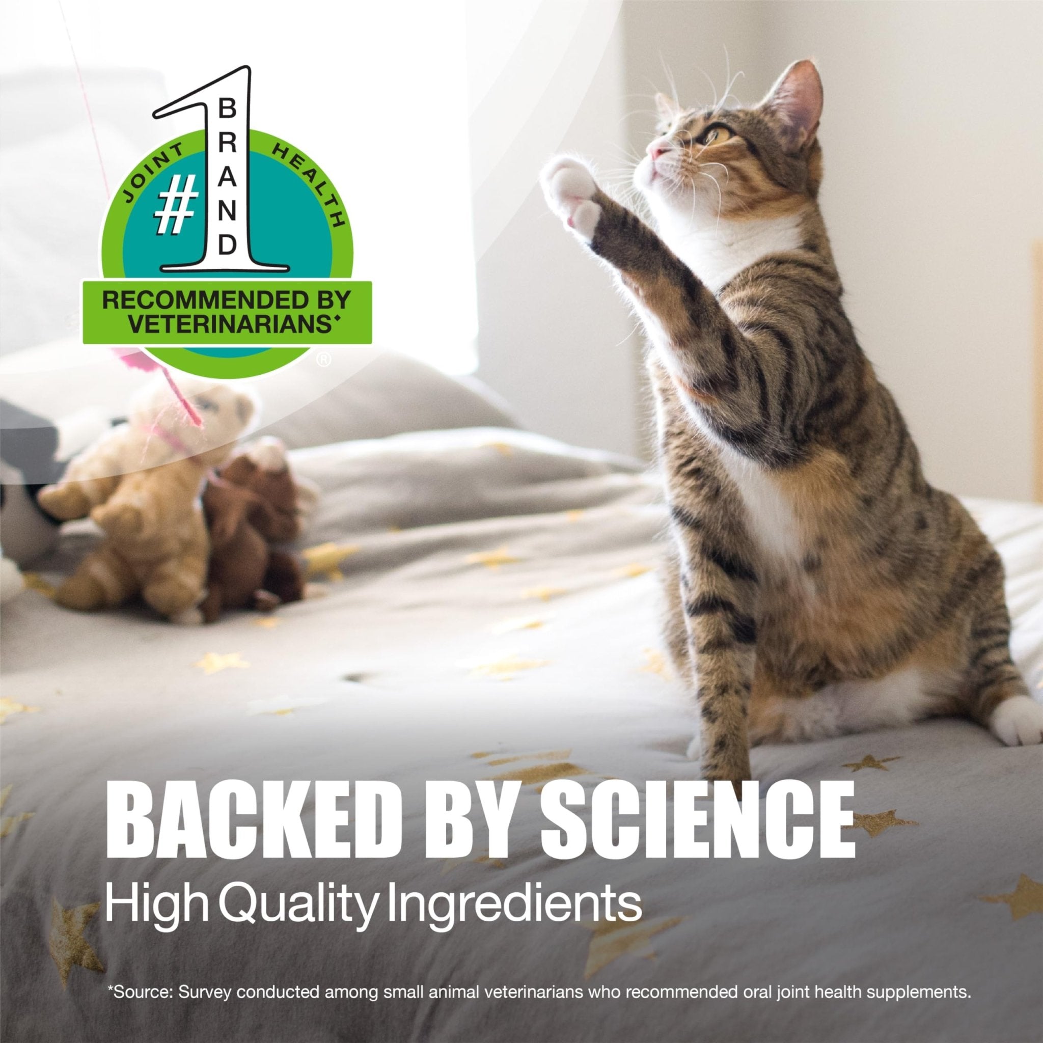 Nutramax Laboratories Dasuquin Joint Health Supplement for Cats - With Glucosamine, Chondroitin, ASU, Boswellia Serrata Extract, and Green Tea Extract, 84 Capsules - TrustMedUSA
