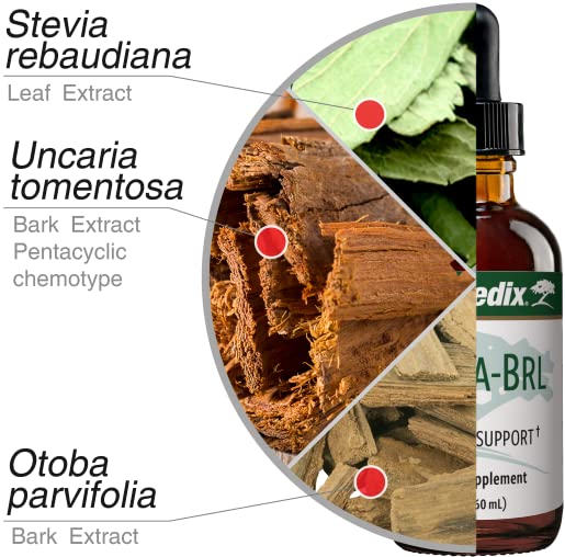 Nutramedix Nutra BRL - Liquid Herbal Supplement for Gut Health & Immune Support - Samento & Banderol for Digestive Health - Immune System Booster Supplement (60mL) - TrustMedUSA