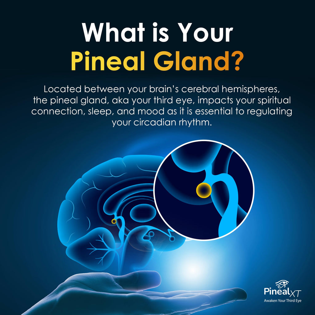 Nutraville Pineal XT Gold - Pineal Gland Supplement - Third Eye Awakening - Focus and Memory Supplement for Brain - 7 Powerful Ingredients Decalcify, Detox, and Activate Your Pineal Gland, 2 Pack - TrustMedUSA