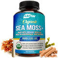NutriFlair Organic Sea Moss 1600mg, 120 Capsules Plus Bladderwrack & Burdock - Prebiotic Super Food - Immune System & Digestive Health - Thyroid, Healthy Skin, Keto Detox, Gut - TrustMedUSA