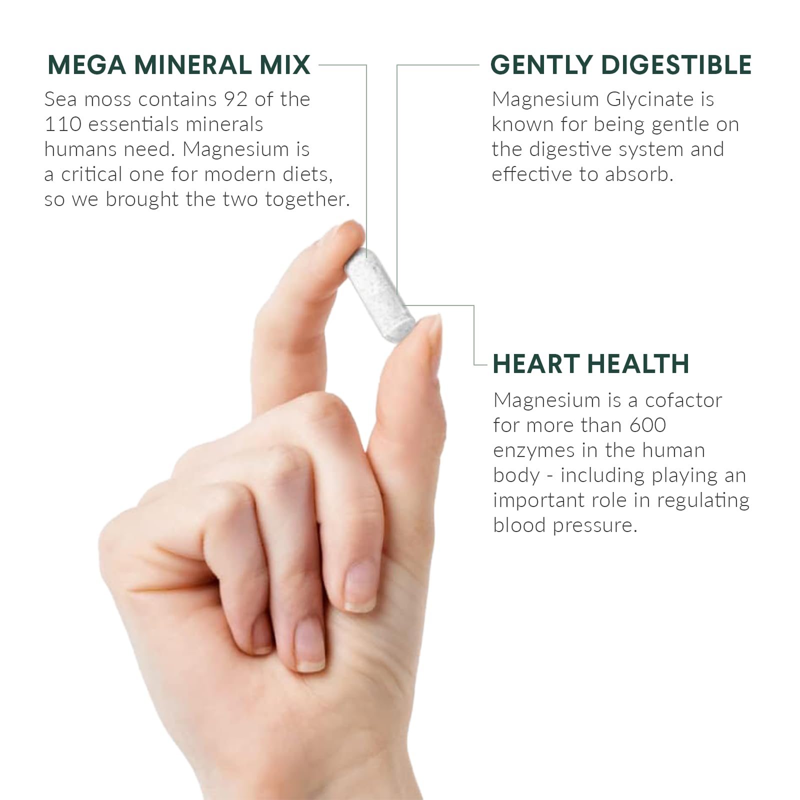 Nutritional Roots - Magnesium + Irish Sea Moss - 350mg Magnesium Glycinate & Organic Irish Sea Moss - Essential Minerals - Supports Heart & Bone Health - Dietary Supplement - 30 Servings - 60 Capsules - TrustMedUSA