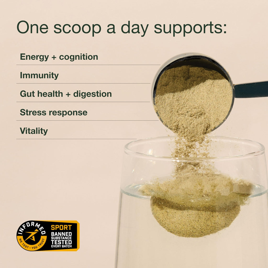 Nuzest Greens Powder Good Green Vitality – Vitamins, Minerals & Superfoods – Vegan Multivitamin Supplement (300g) - TrustMedUSA