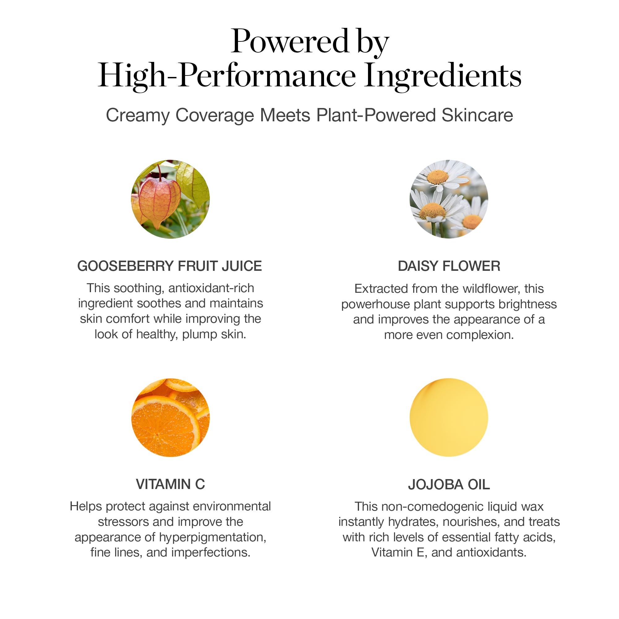 Ogee Complexion Perfecting Liquid Foundation - Lightweight Tinted Moisturizer For Face (Mahogany 14.5N - Deep Cocoa (Rich Undertones) - with Vitamin C & Jojoba Oil - Certified Organic & Made in USA - TrustMedUSA