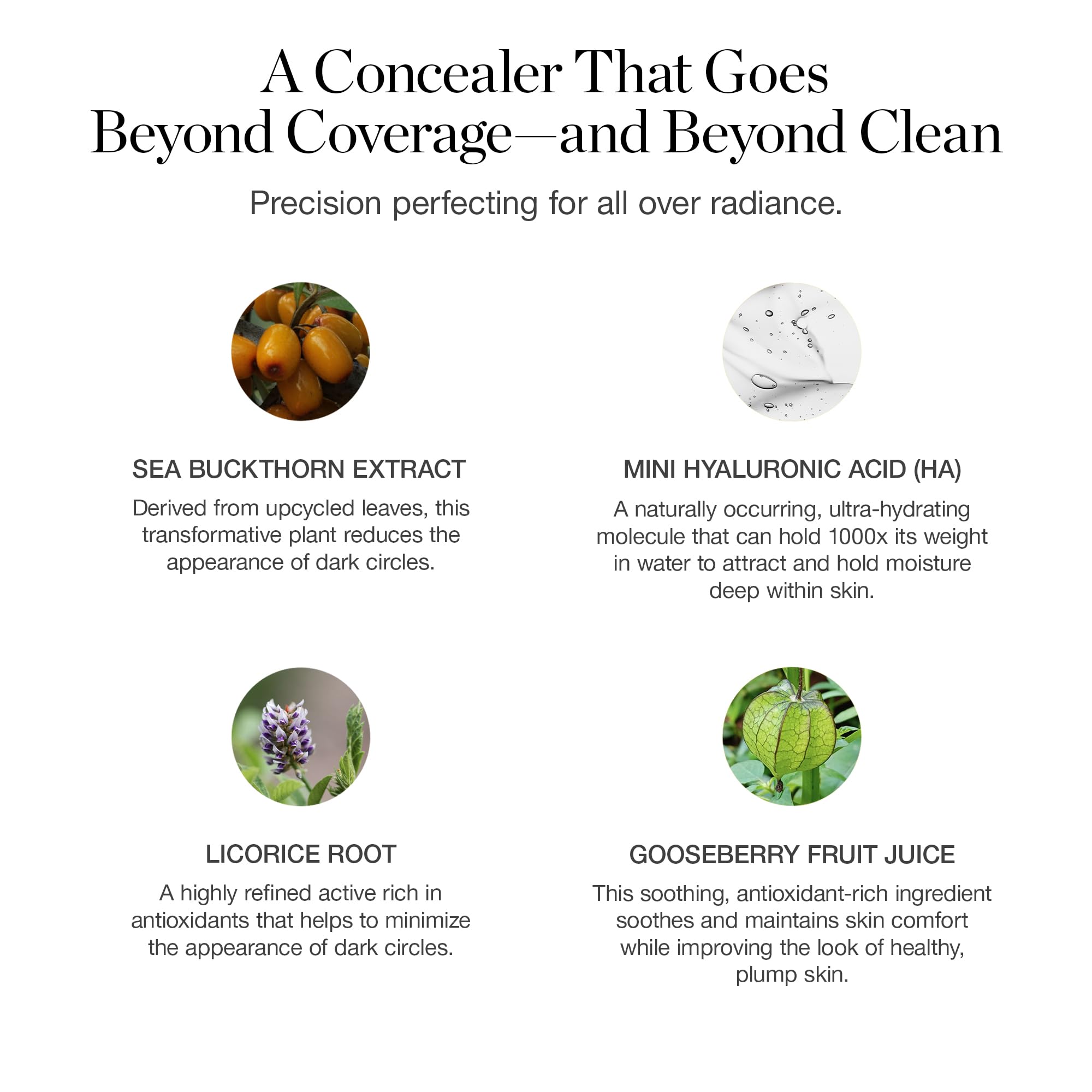 Ogee Complexion Perfecting Under Eye Concealer - Certified Organic Full Coverage Concealer - Buildable Coverage - OSIER 1.75W - Light Medium (Olive Undertones) - TrustMedUSA