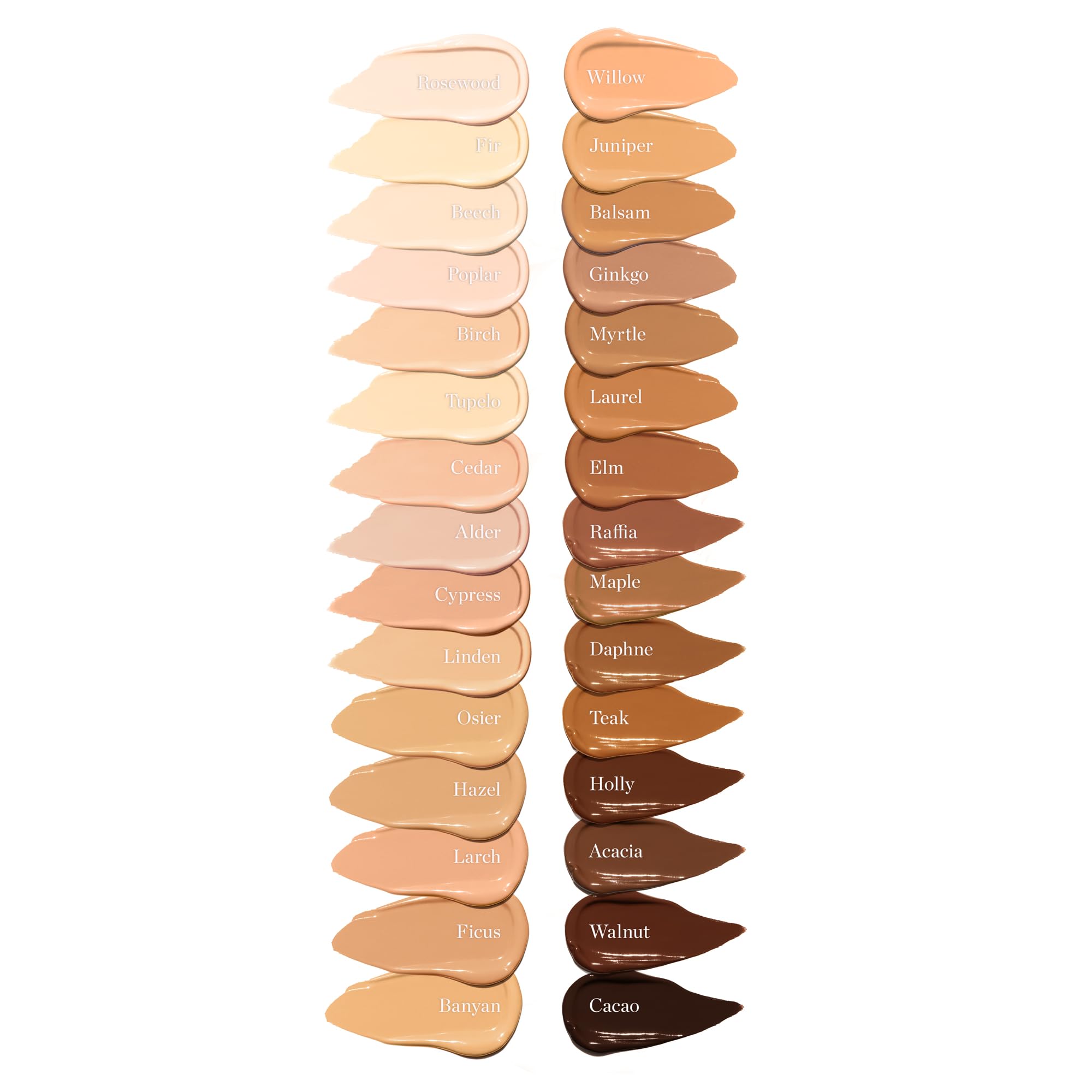 Ogee Complexion Perfecting Under Eye Concealer - Certified Organic Full Coverage Concealer - Buildable Coverage - OSIER 1.75W - Light Medium (Olive Undertones) - TrustMedUSA