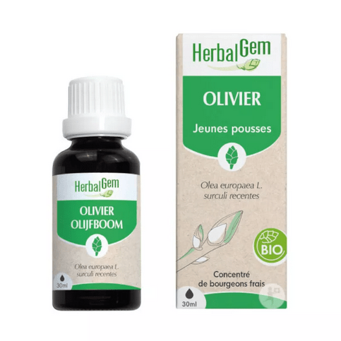 Olivier BIO Macérat mère 30 ml HERBALGEM - TrustMedUSA