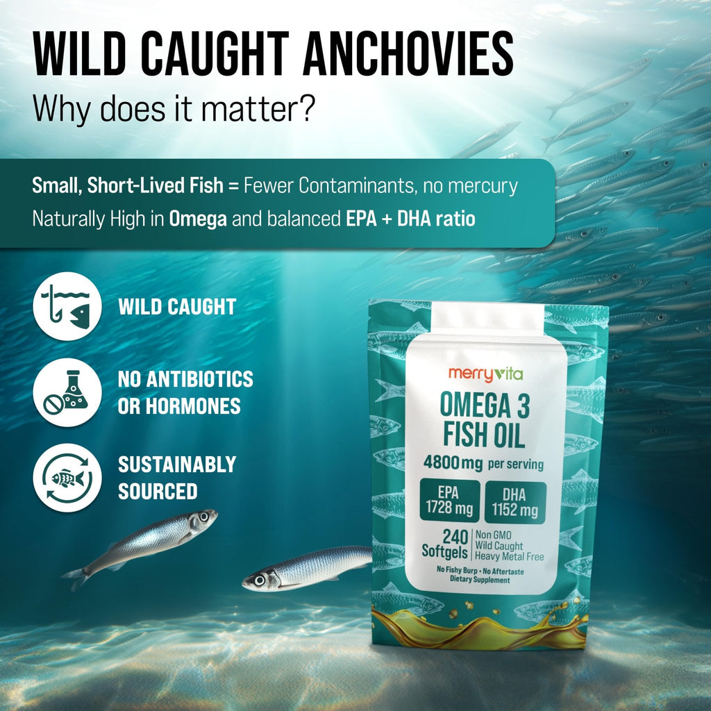 Omega 3 Fish Oil 4800 mg – EPA 1728 mg | DHA 1152 mg from Wild-Caught Anchovies – Burpless Mini Softgels – Pure Omega-3 Fatty Acid Supplement – Non-GMO, Gluten-Free, No Aftertaste – 240 Capsules - TrustMedUSA