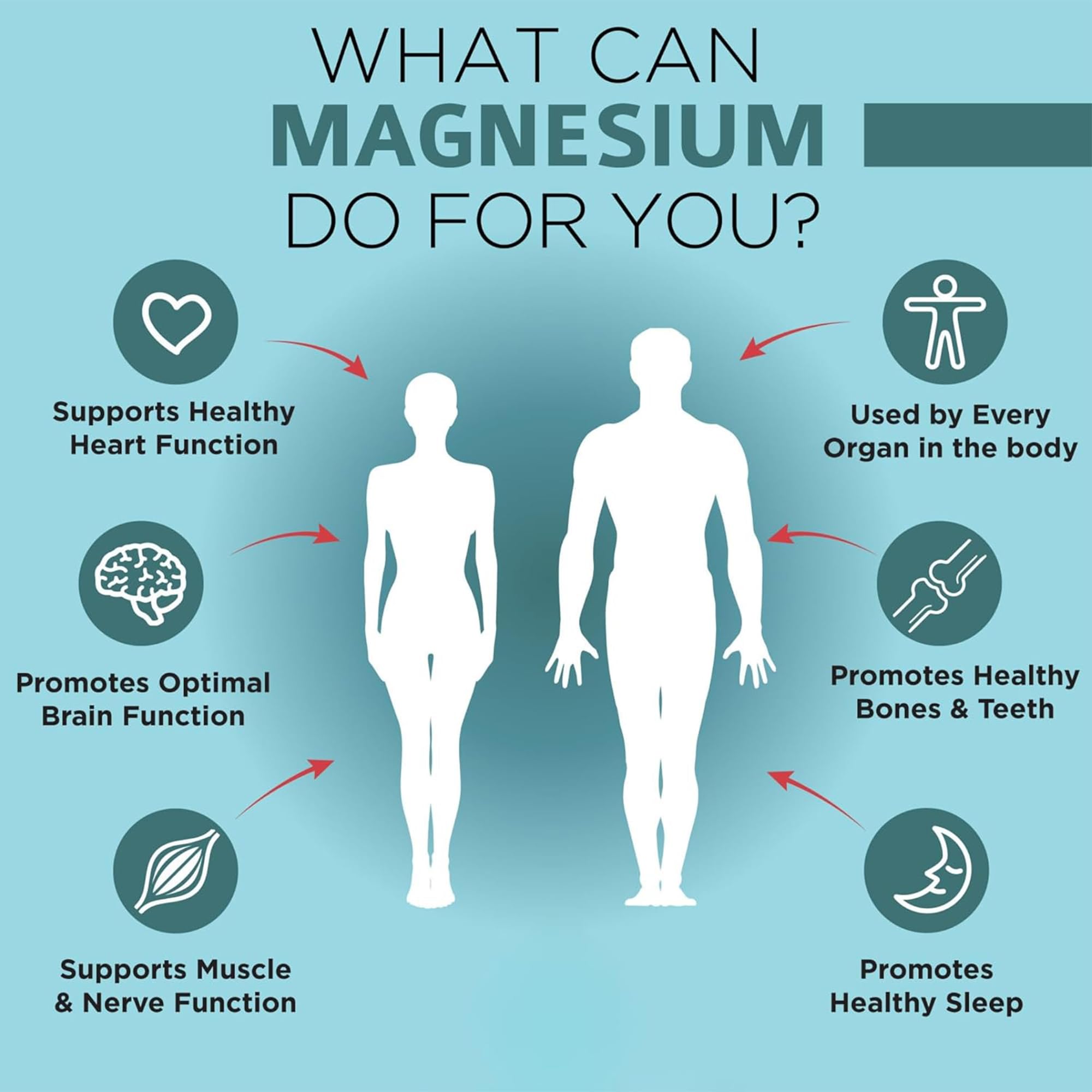 OmniBiotics Magnesium Glycinate Supplement – with 100% Pure Albion TRAACS Bisglycinate Chelate for Sleep, Muscle - TrustMedUSA