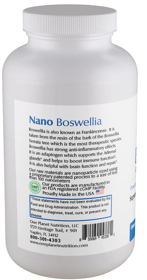 One Planet Nutrition Nano Brain 500 mg Capsules (120 Count) - Synergistic Blend of Bacopa, Curcumin, Boswellia & Ginkgo - Enhances Mental Clarity & Memory - Non-GMO, Vegan, Gluten Free - TrustMedUSA