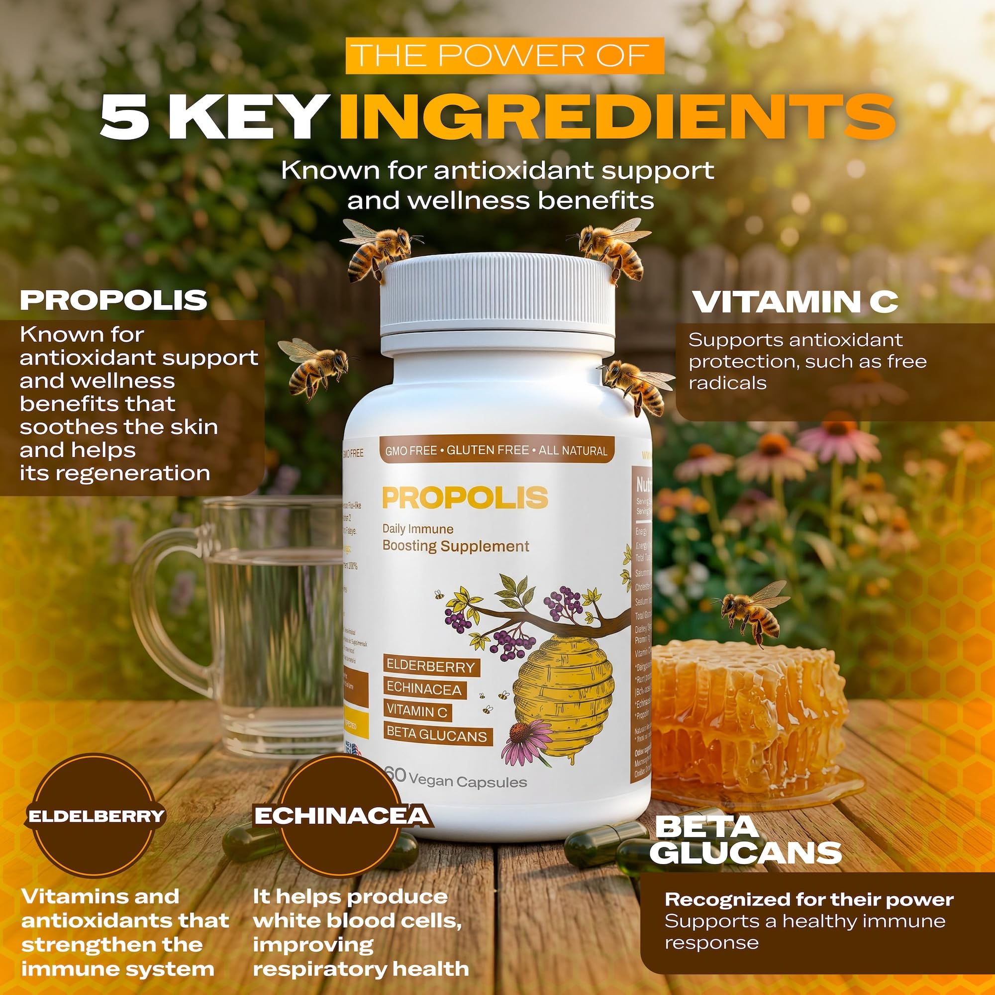 Only Nutri Labs Bee Propolis Dietary Supplement, with Elderberry, Echinacea, Vitamin C and Beta Glucans - Daily Wellness Capsules for Adults (60 Count) - TrustMedUSA