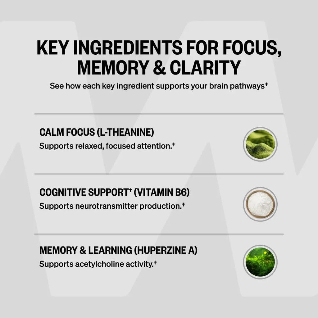 ONNIT Alpha Brain Nootropic Brain Supplement for Focus, Memory, Mental Clarity, Cognitive Support with L-Theanine and Vitamin B6, 90 Count - TrustMedUSA
