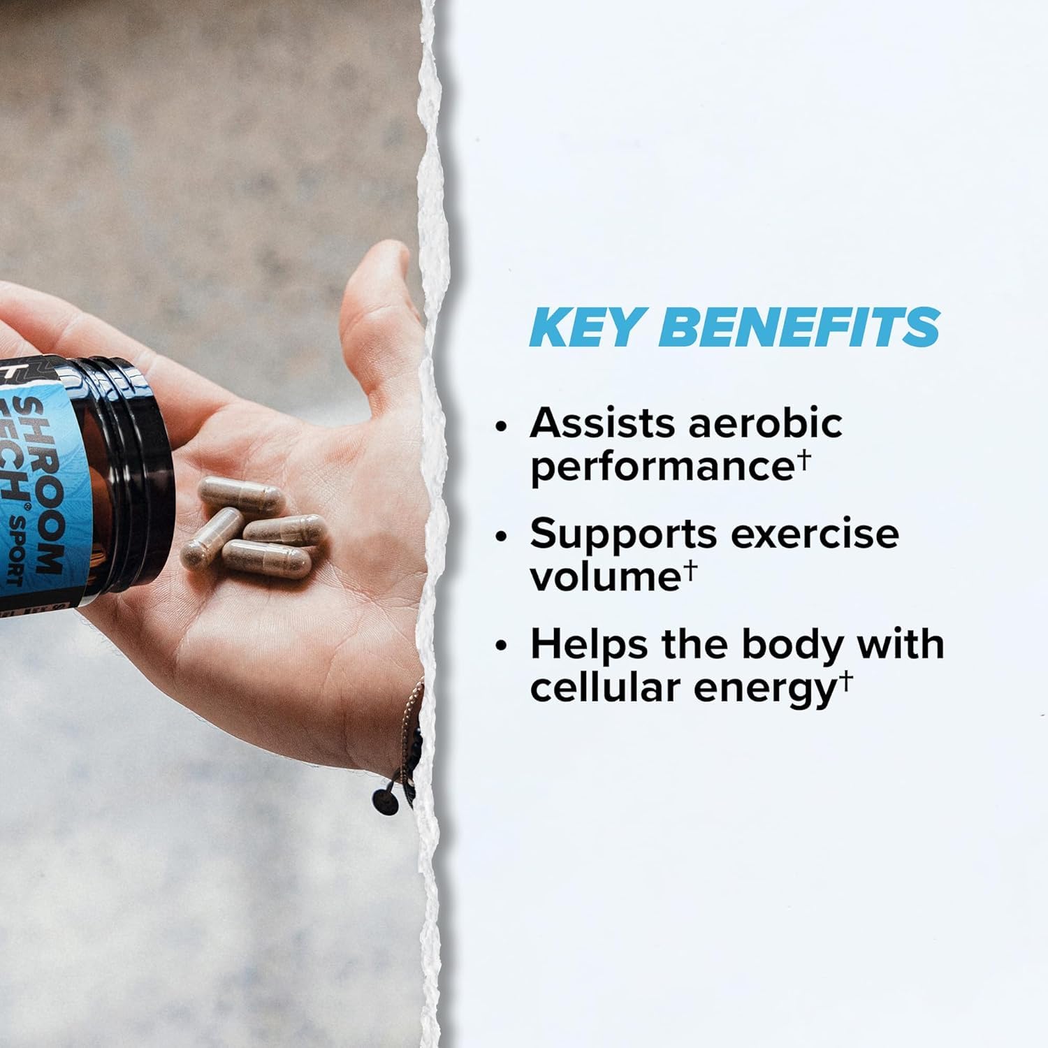 ONNIT Cognitive & Endurance Support Bundle: Alpha Brain Nootropic Capsules (30 Count) + Shroom Tech Sport Exercise Support Capsules (28 Count), IGEN Non-GMO Tested Focus, Energy & Endurance, 2 Pack - TrustMedUSA