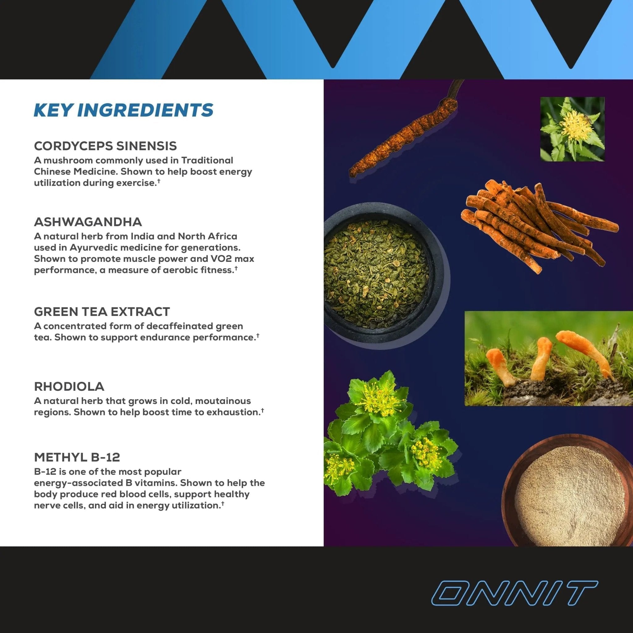 Onnit Shroom TECH Sport (84ct) | All Natural Pre-Workout Supplement with Ashwagandha - TrustMedUSA