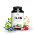 Optimal Health Systems Brain | Most Comprehensive Nootropic + Enzyme Delivery | 700 mg Scientific Neuroenhancment Blend | Boost Mood, Memory & Focus | 90 Capsules - TrustMedUSA