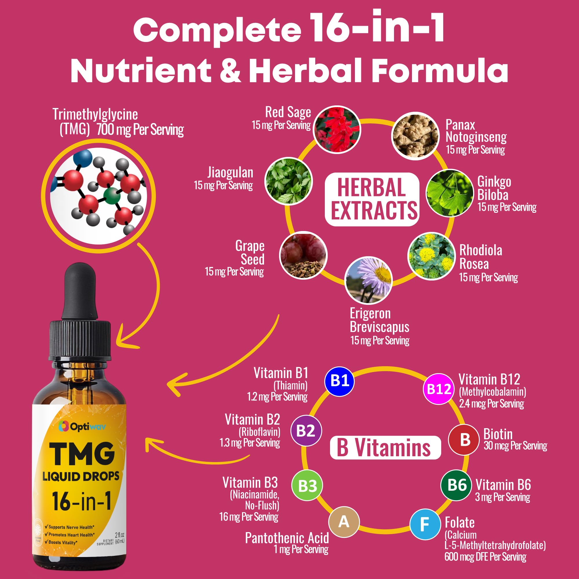 Optiwav TMG Trimethylglycine Liquid Drops - Betaine High Absorption Methylated Vitamins Supplement for Homocysteine Methylation & Heart Health Support - Orange Flavor Gluten Free Vegan - 2 fl oz - TrustMedUSA