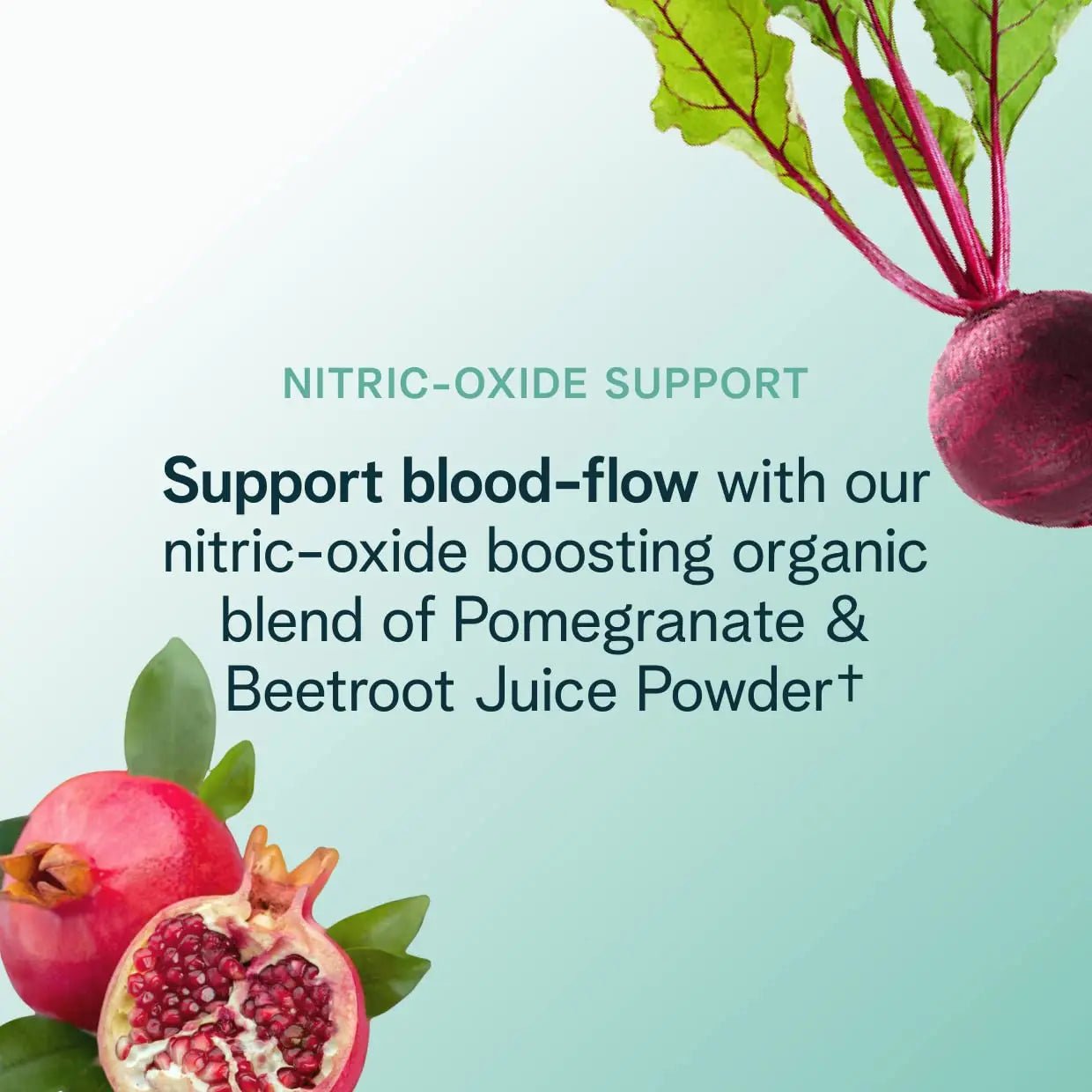 Ora Organic Natural Pre Workout Powder - Raspberry Lemonade Flavor- Provides Jitter Free Energy, Focus, Hydration, & Endurance - Vegan, Certified Organic, Soy, Dairy, & Gluten Free, 20 Servings - TrustMedUSA