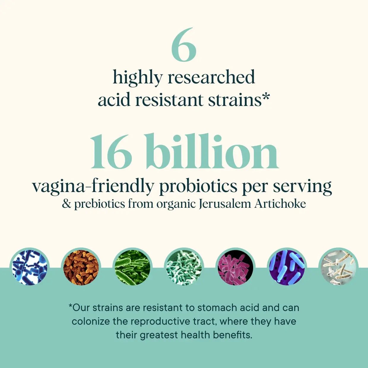 Ora Organic Prebiotics and Probiotics for Women - Lactobacillus for Vaginal and Urinary Tract Health, Contains 16 Billion CFU, 6 Strains - 1 Month Supply, 60 Vegan Probiotic Capsules - TrustMedUSA