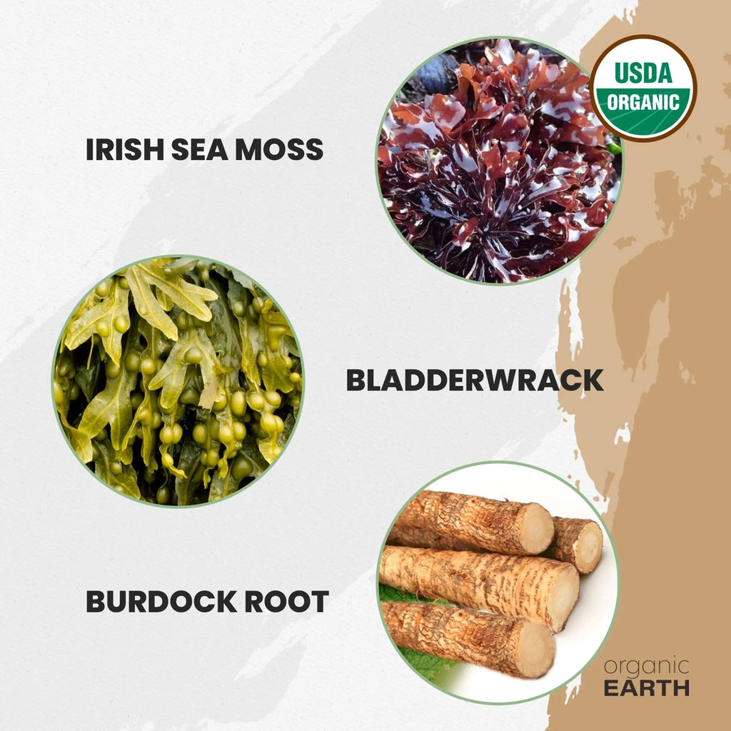 Organic Earth Irish Sea Moss Powder 8oz - Wildcrafted Sea Moss Organic with Bladderwrac - TrustMedUSA