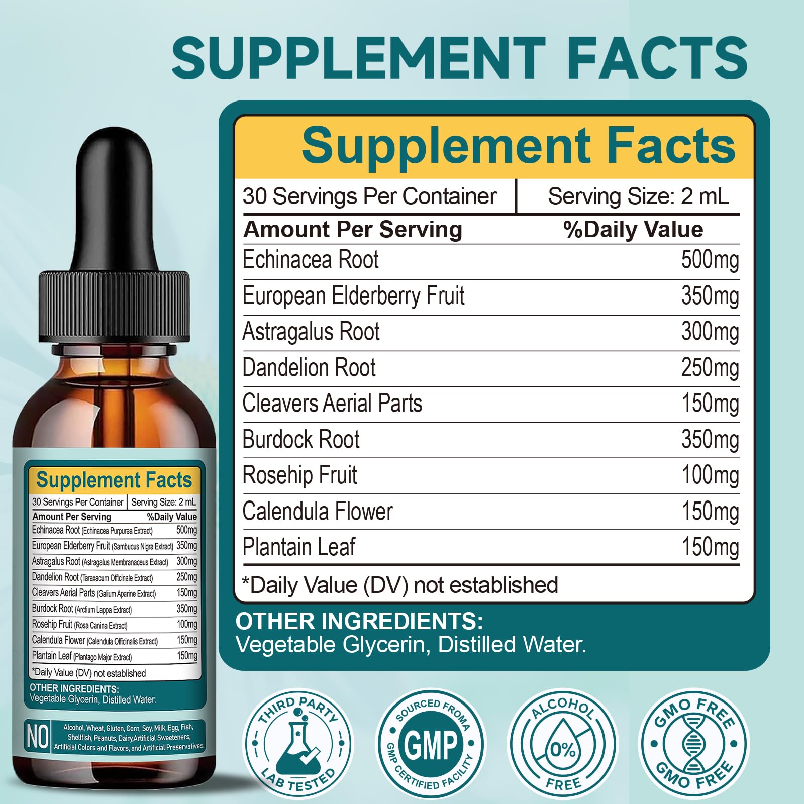 Organic Lymphatic Drainage Drops - Lymphatic Drainage Supplement with Echinacea for Lymph System Support, Elderberry, Astragalus, Cleavers, Burdock & Dandelion for Lymphatic Cleanse & Detox-2 Fl Oz - Maple Wellness Supplements