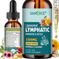 Organic Lymphatic Drainage Drops - Lymphatic Drainage Supplement with Echinacea for Lymph System Support, Elderberry, Astragalus, Cleavers, Burdock & Dandelion for Lymphatic Cleanse & Detox-2 Fl Oz - Maple Wellness Supplements