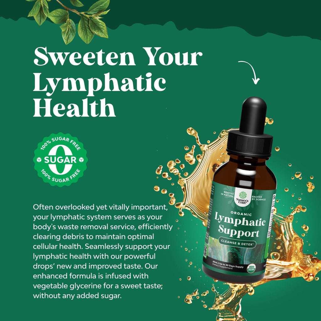 Organic Lymphatic Support Drainage Drops - Herbal Lymphatic Cleanse and Immune Support Supplement with Organic Echinacea Goldenseal & Red Clover Extract - Vegan Non GMO and Alcohol Free - 2 Fl Oz - Maple Wellness Supplements