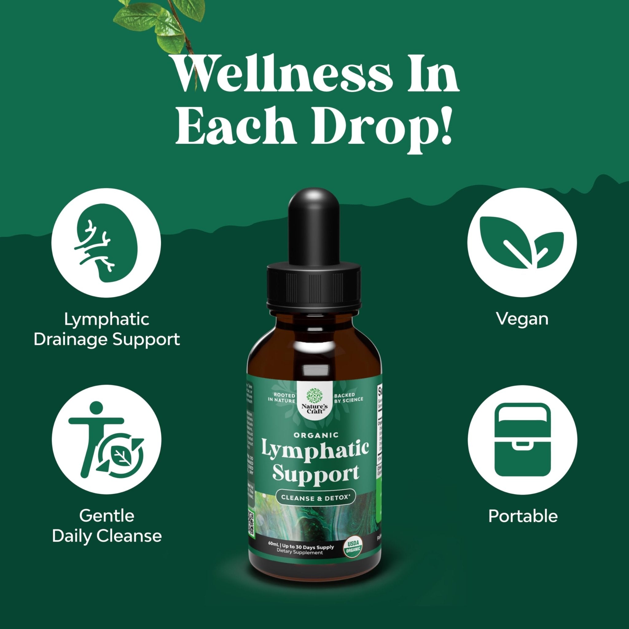 Organic Lymphatic Support Drainage Drops - Herbal Lymphatic Cleanse and Immune Support Supplement with Organic Echinacea Goldenseal & Red Clover Extract - Vegan Non GMO and Alcohol Free - 2 Fl Oz - Maple Wellness Supplements