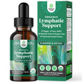 Organic Lymphatic Support Drainage Drops - Herbal Lymphatic Cleanse and Immune Support Supplement with Organic Echinacea Goldenseal & Red Clover Extract - Vegan Non GMO and Alcohol Free - 2 Fl Oz - Maple Wellness Supplements