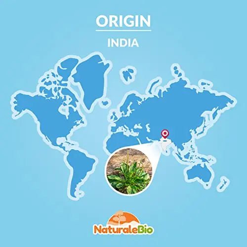 Organic Psyllium Husk - 99% Purity - 200g. Pure & Natural Psyllium Seed Husks - TrustMedUSA