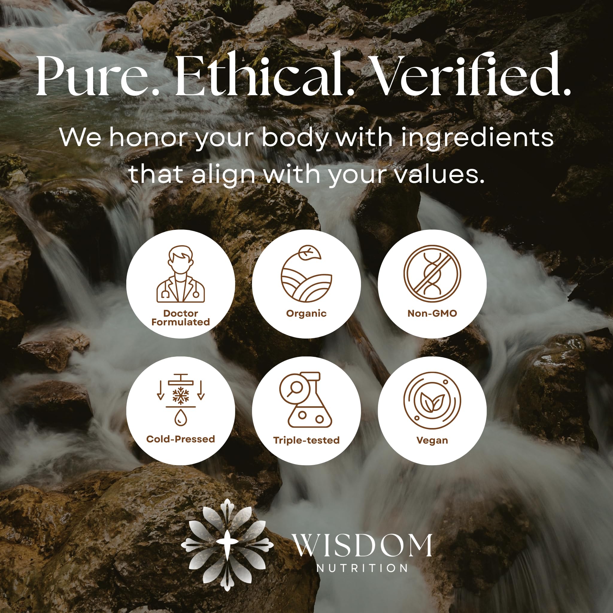 Organic Turmeric, Frankincense and Myrrh – Herbal Supplement Blend for Energy, Detox, Focus, Immunity & Stress – Non-GMO Vegan Tonic with Milk Thistle – Wisdom Bible Based Blend – 2oz Liquid Drops - TrustMedUSA