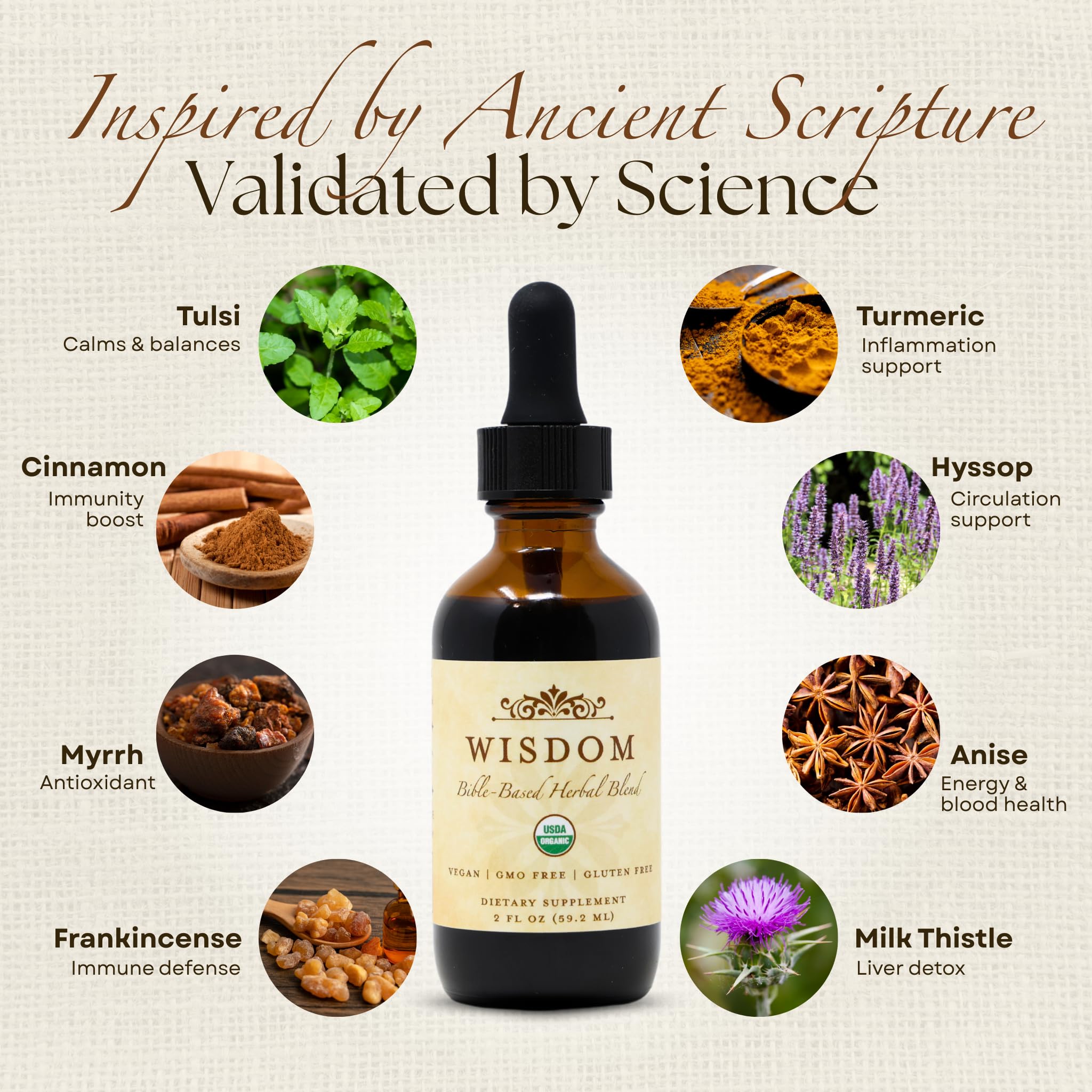 Organic Turmeric, Frankincense and Myrrh – Herbal Supplement Blend for Energy, Detox, Focus, Immunity & Stress – Non-GMO Vegan Tonic with Milk Thistle – Wisdom Bible Based Blend – 2oz Liquid Drops - TrustMedUSA
