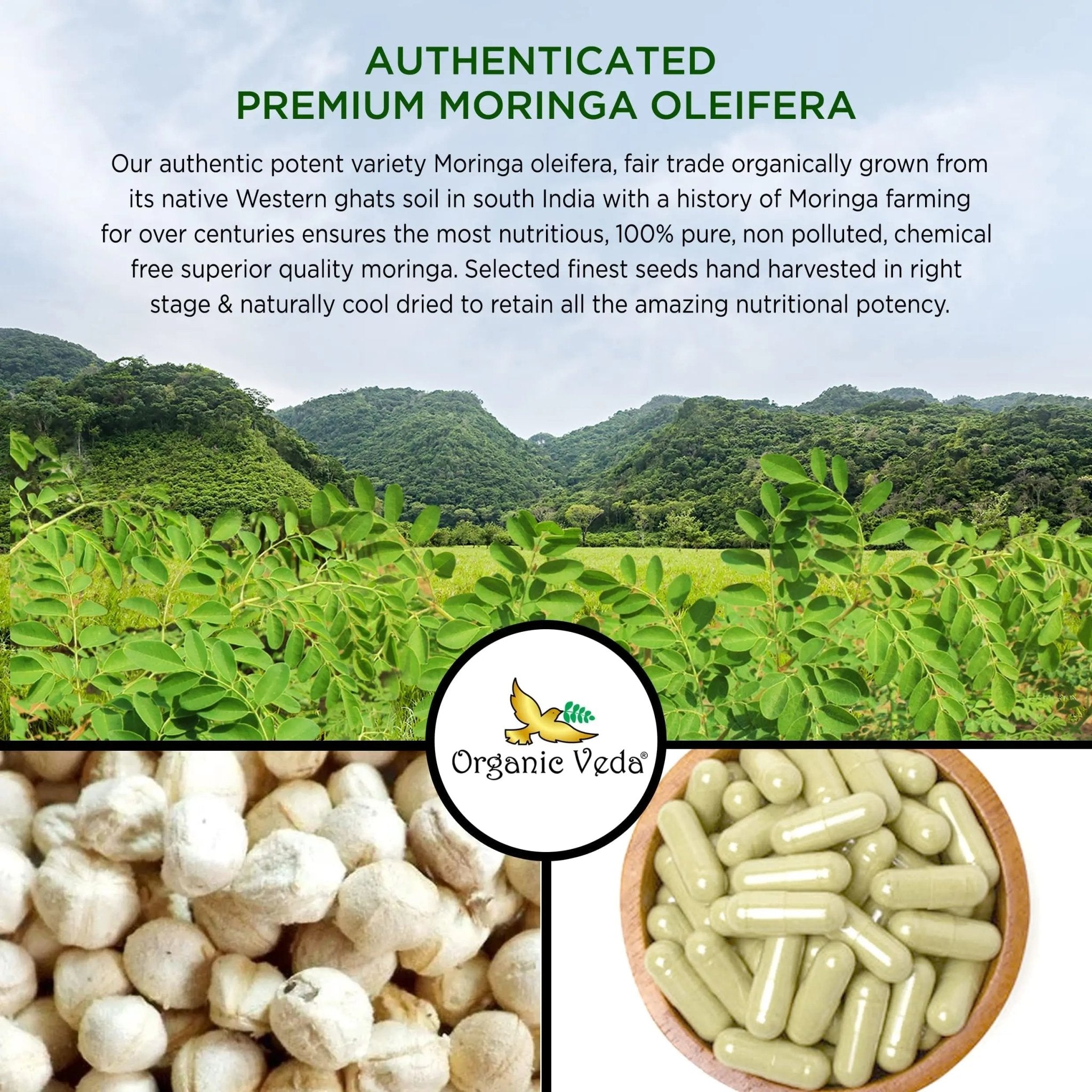 Organic Veda Moringa Seed Capsules - Pure Organic Moringa Capsules Seed Powder - TrustMedUSA