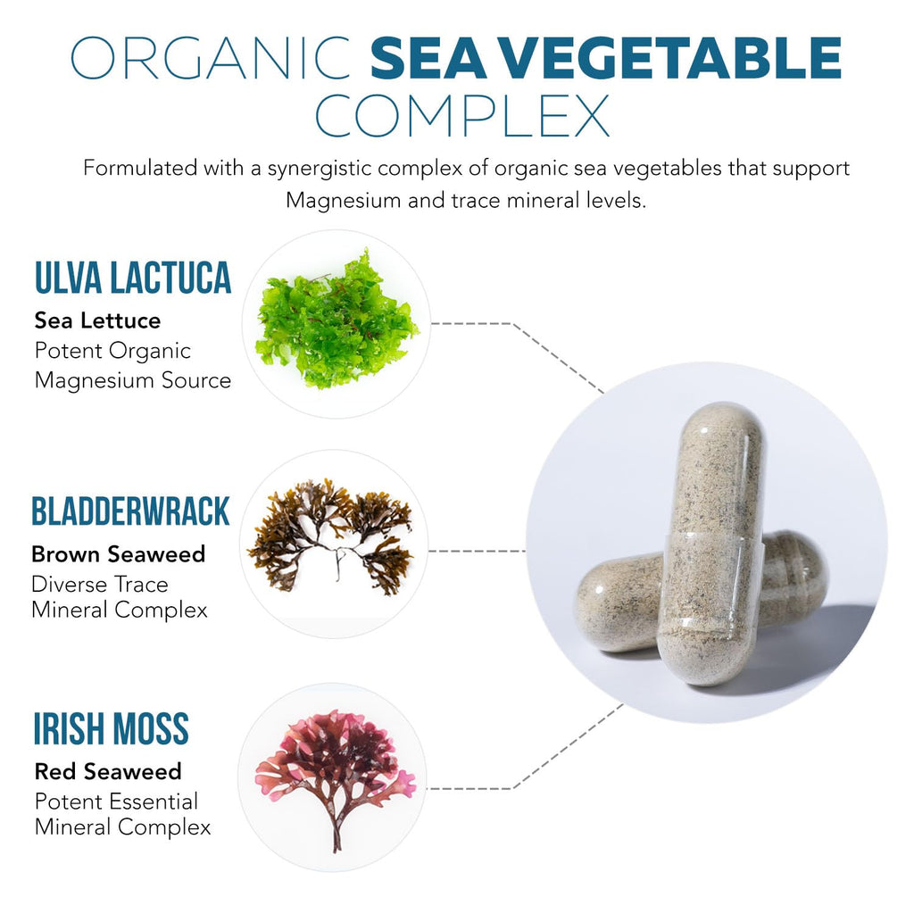 Organic Whole Food Magnesium Supplement - Plant-Based, Organic Sea Vegetable Complex - 250 mg Per Serving | Water Extracted | Gentle on Stomach | Supports Energy, Sleep, Muscle, Heart - 60 Capsules - Maple Wellness Supplements