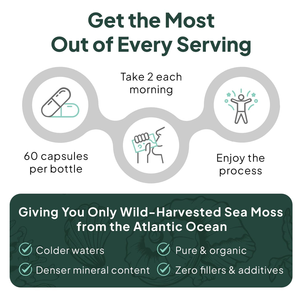 Organics Ocean Wild Sea Moss Capsules - 100% Organic Irish Sea Moss with Organic Chlorella, Bladderwrack and Vitamin D for Energy, Lung Health and Thyroid Support for Women and Men - 60 Capsules - TrustMedUSA