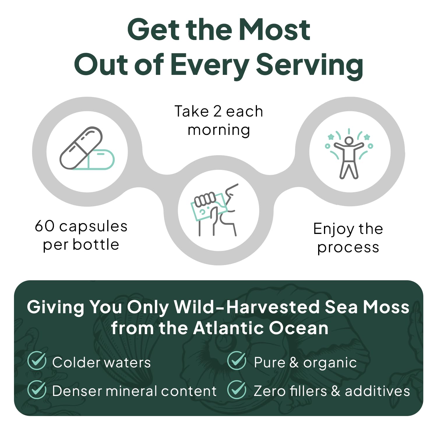 Organics Ocean Wild Sea Moss Capsules - 100% Organic Irish Sea Moss with Organic Chlorella, Bladderwrack and Vitamin D for Energy, Lung Health and Thyroid Support for Women and Men - 60 Capsules - TrustMedUSA