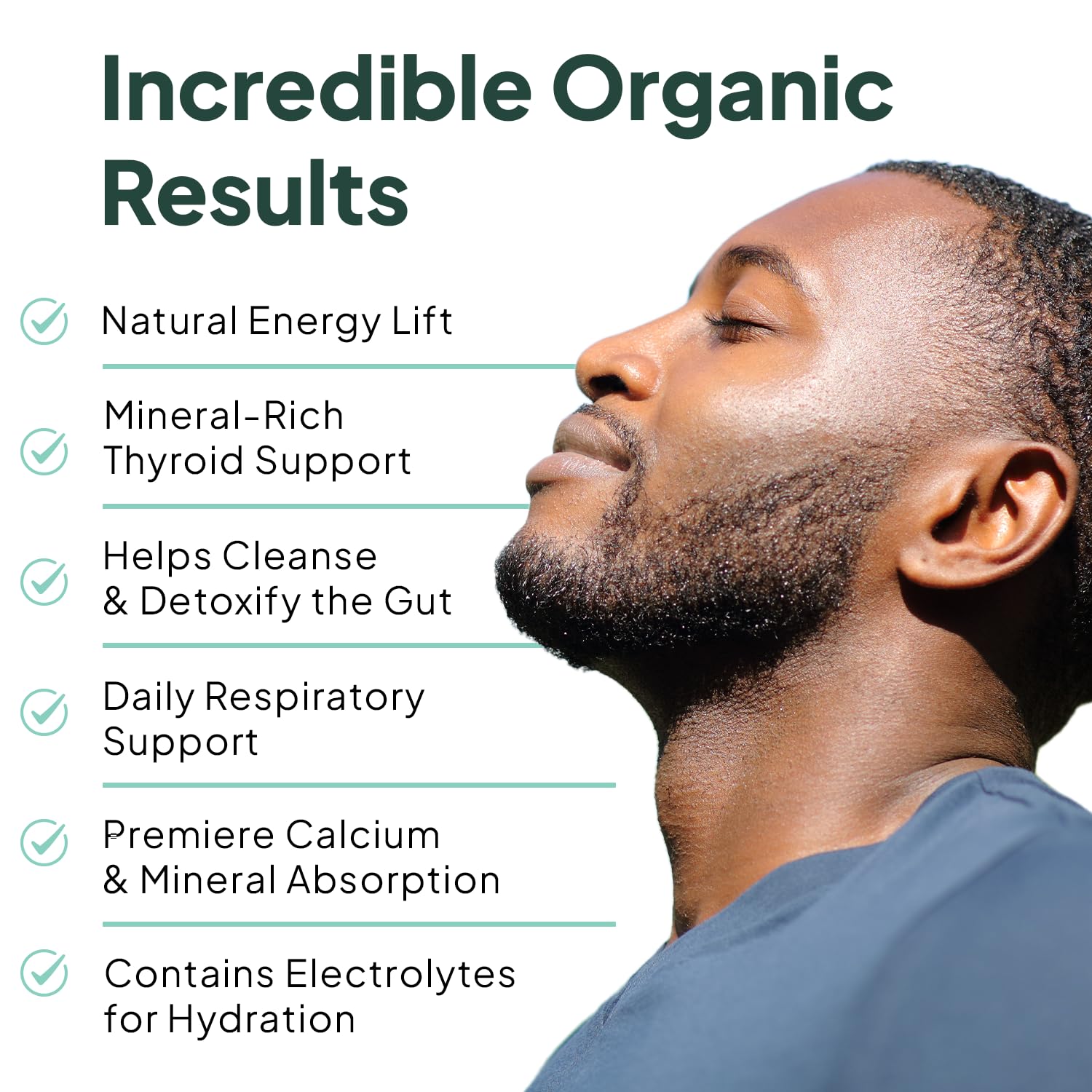 Organics Ocean Wild Sea Moss Capsules - 100% Organic Irish Sea Moss with Organic Chlorella, Bladderwrack and Vitamin D for Energy, Lung Health and Thyroid Support for Women and Men - 60 Capsules - TrustMedUSA