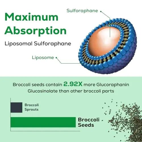 Osasuna Liposomal Sulforaphane 450MG, Maximum Absorption, 360 Softge - TrustMedUSA