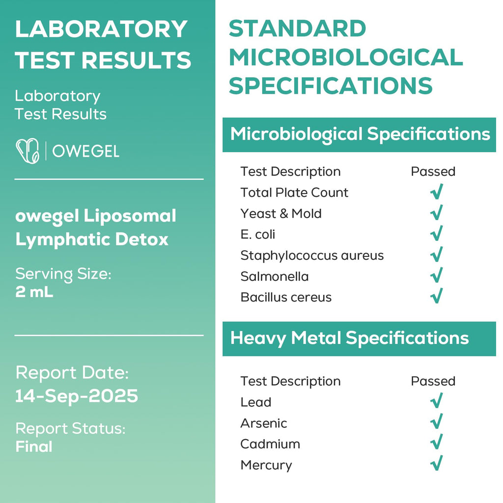 owegel Liposomal Lymphatic Drainage Drops 2000mg – Immune & Lymph System Support – Lymphatic Detox and Cleanse with Echinacea, Red Clover, Dandelion & Cleavers – Sugar-Free, Alcohol-Free – 2 FL OZ - Maple Wellness Supplements