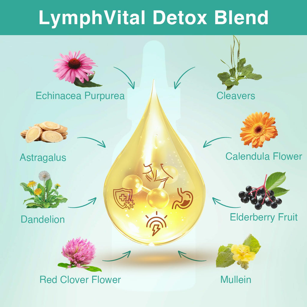 owegel Liposomal Lymphatic Drainage Drops 2000mg – Immune & Lymph System Support – Lymphatic Detox and Cleanse with Echinacea, Red Clover, Dandelion & Cleavers – Sugar-Free, Alcohol-Free – 2 FL OZ - Maple Wellness Supplements